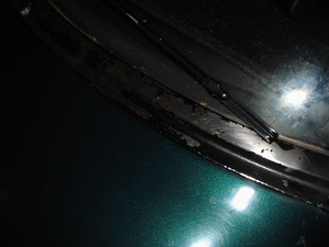 car_stuff 015.jpg